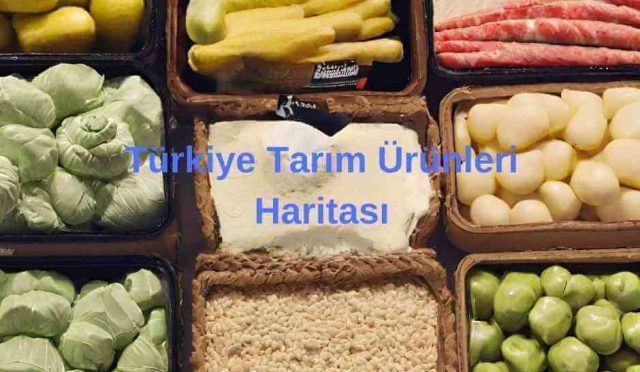 Türkiye Tarım Ürünleri Haritası