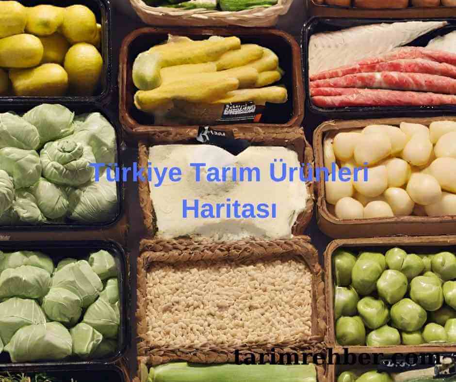 Türkiye Tarım Ürünleri Haritası