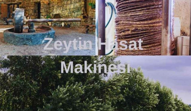 Zeytin Hasat Makinesi: Zeytin Hasadında Teknolojik Devrim