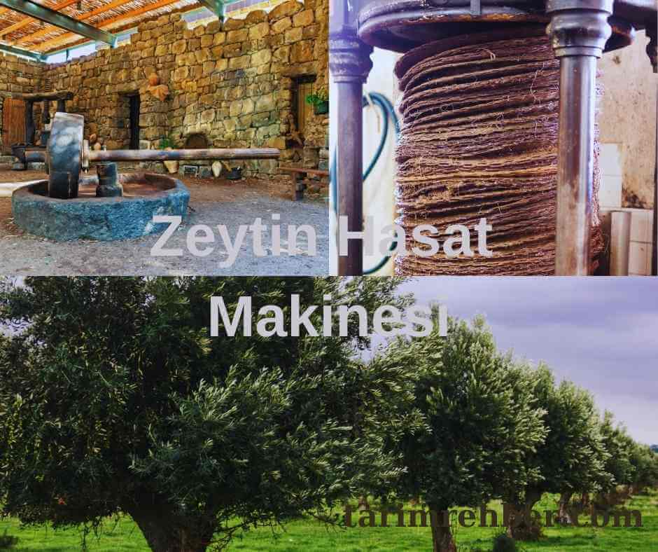 Zeytin Hasat Makinesi: Zeytin Hasadında Teknolojik Devrim