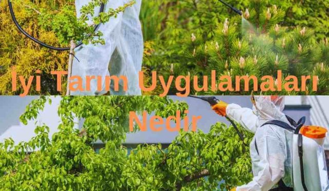 İyi Tarım Uygulamaları Nedir | Tarım Uygulamaları Hakkında Detaylar