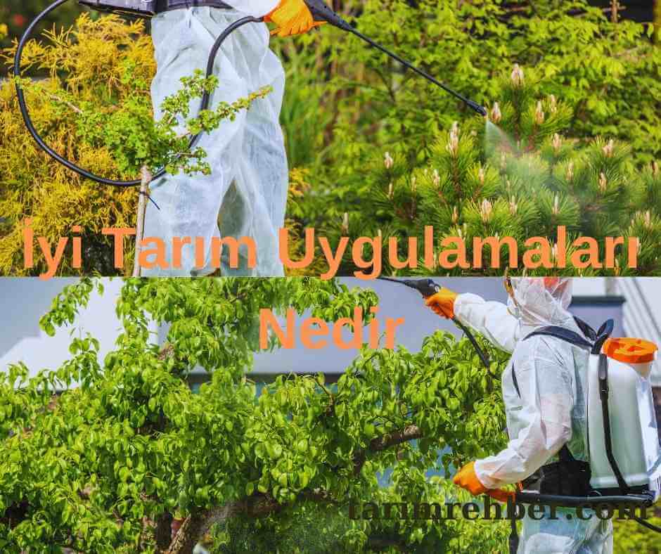 İyi Tarım Uygulamaları Nedir | Tarım Uygulamaları Hakkında Detaylar