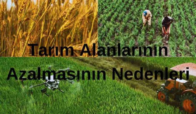 Tarım Alanlarının Azalmasının Nedenleri ve Etkileri