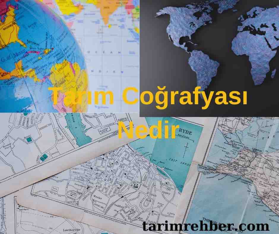 Tarım Coğrafyası Nedir | Toprağın ve İklimin Rolü