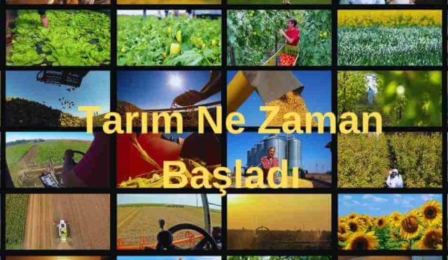 Tarım Ne Zaman Başladı