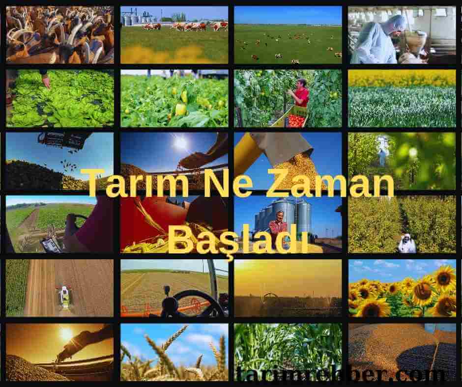 Tarım Ne Zaman Başladı