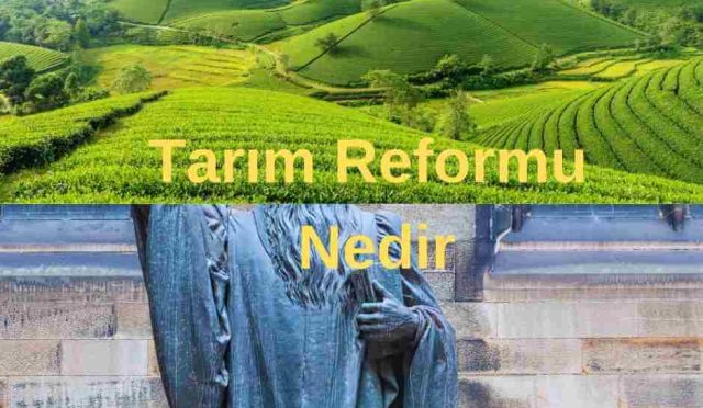 Tarım Reformu Nedir | Tarım ve Toprak Reformu