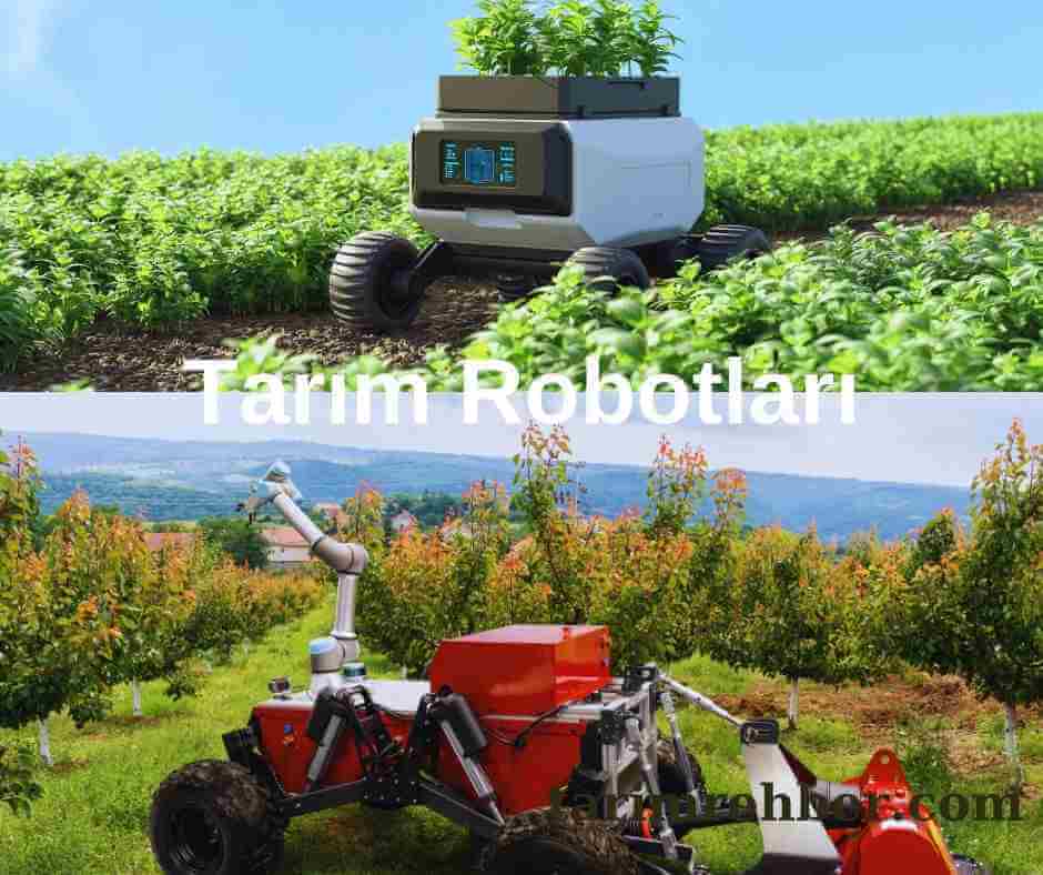 Tarım Robotları: Geleceğin Tarımında Yenilikçi Çözümler.