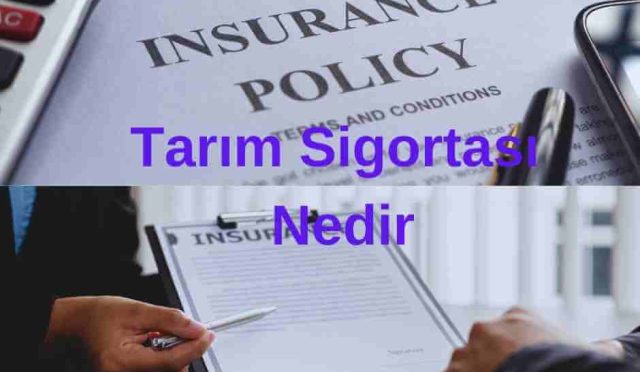 Tarım Sigortası Nedir | Tüm Cevaplar