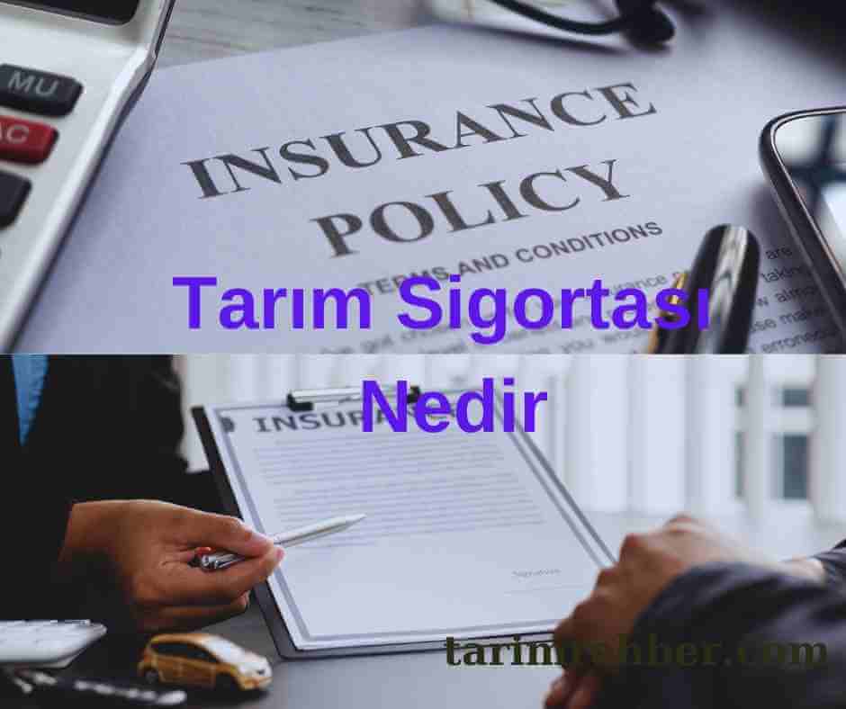 Tarım Sigortası Nedir | Tüm Cevaplar