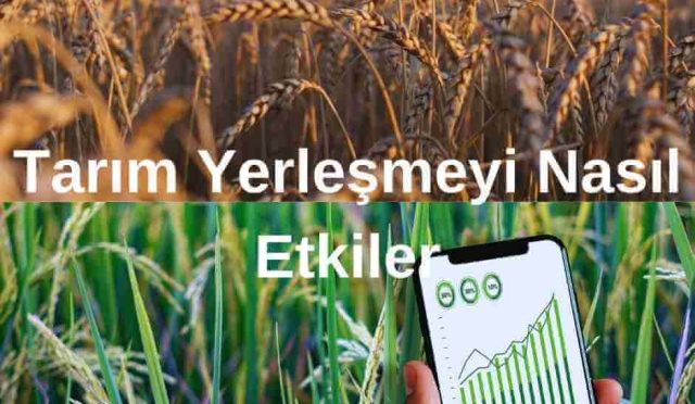 Tarım Yerleşmeyi Nasıl Etkiler