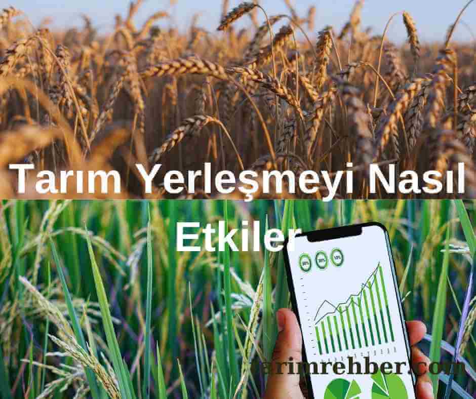 Tarım Yerleşmeyi Nasıl Etkiler